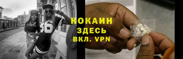 дживик Богданович