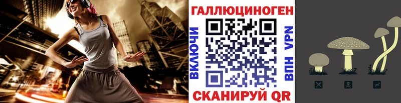 Купить закладки  Красный Кут  Галлюциногенные грибы мицелий 